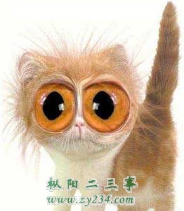 等我有了钱，想整容就整容