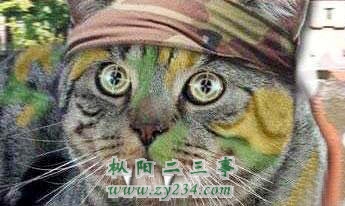 等我有了钱，想怎么化妆就怎么化
