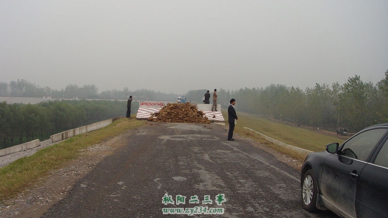DSC03113.JPG
