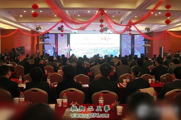推介会现场