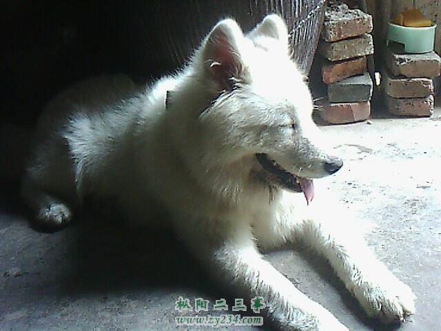 IMG0131A.jpg