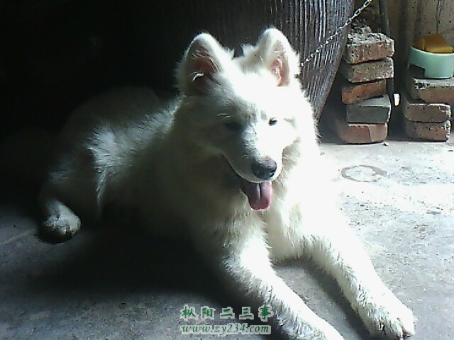 IMG0129A.jpg