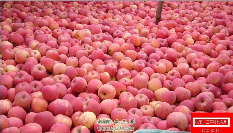 apples.jpg