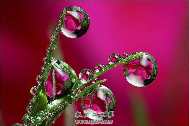 706C9341DF46.jpg
