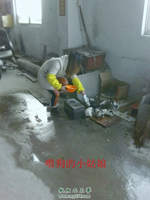 YP20121203075142_副本.jpg