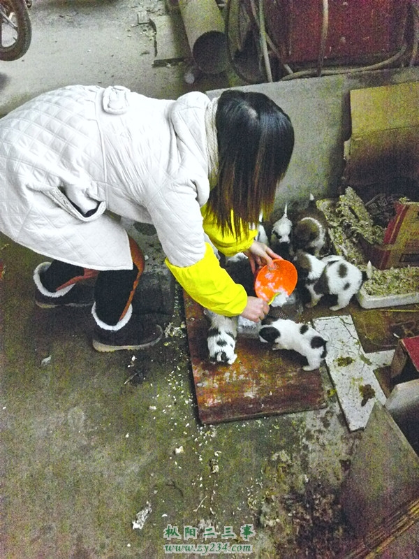 YP20121203075203_副本.jpg
