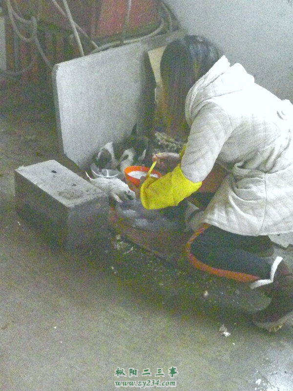 YP20121203075120_副本.jpg