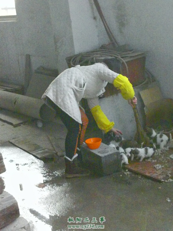 YP20121203074958_副本.jpg