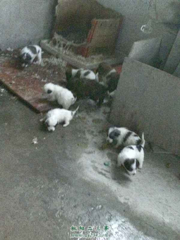 YP20121203074934_副本.jpg