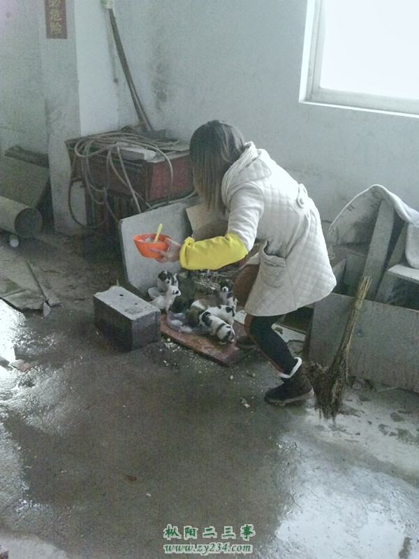 YP20121203075129_副本.jpg