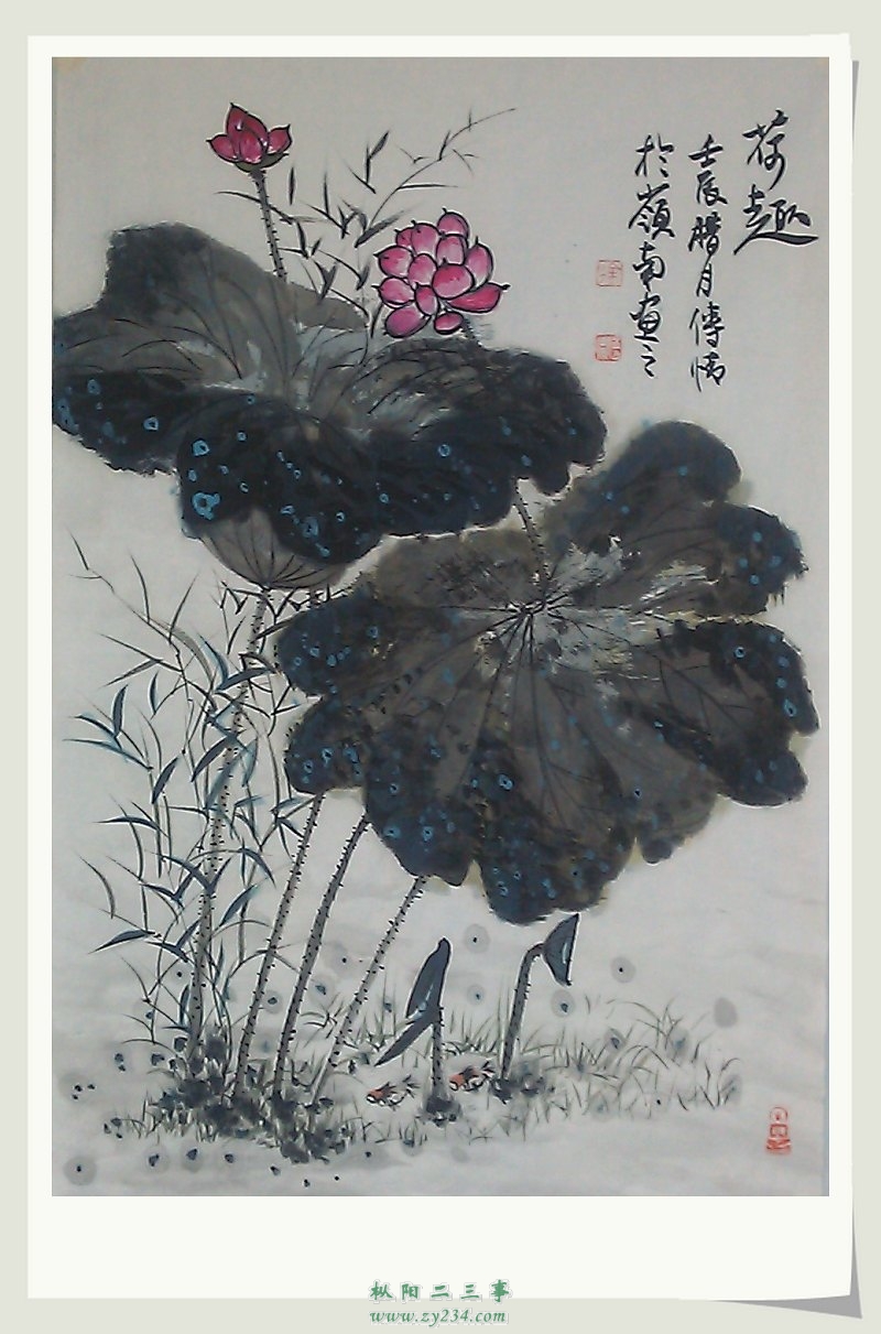 IMAG3338.jpg