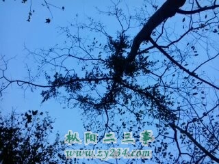 1351998811474.jpg