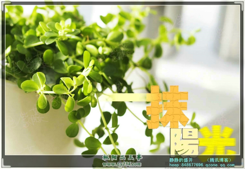 请输入描述