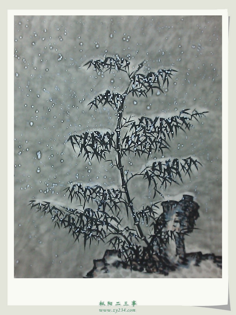 IMAG3429.jpg