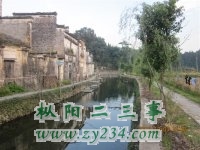 psbCAE317WU.jpg