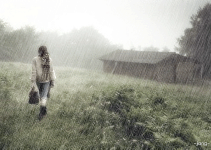200804171355512116488-1919923.gif