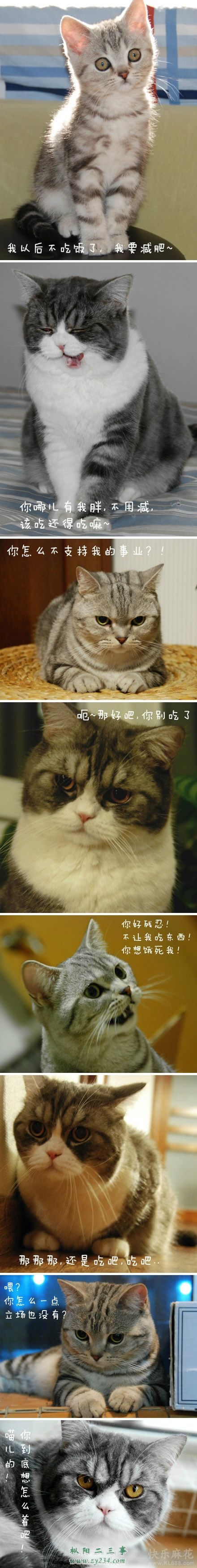 2012091109270434340.jpg