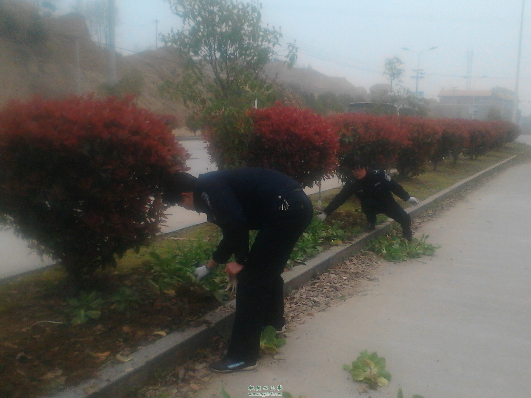 IMG_20130321_083756.jpg