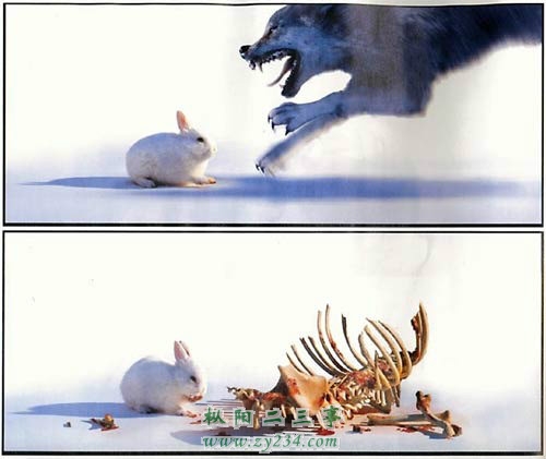 请输入描述