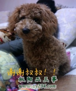 QQ截图20130318183559.jpg