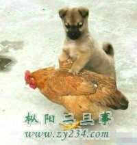 未命名.jpg