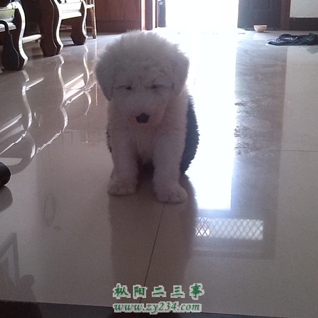 IMG_20130401_114414_副本.jpg