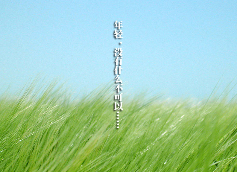 20105251029575791_172.gif