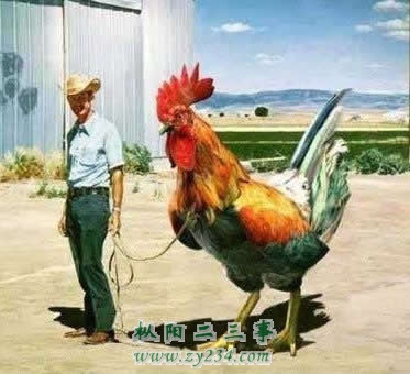 201304111105122011.jpg