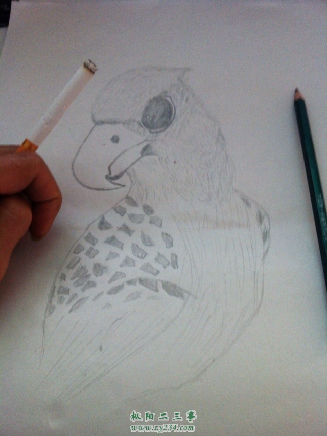 请输入描述
