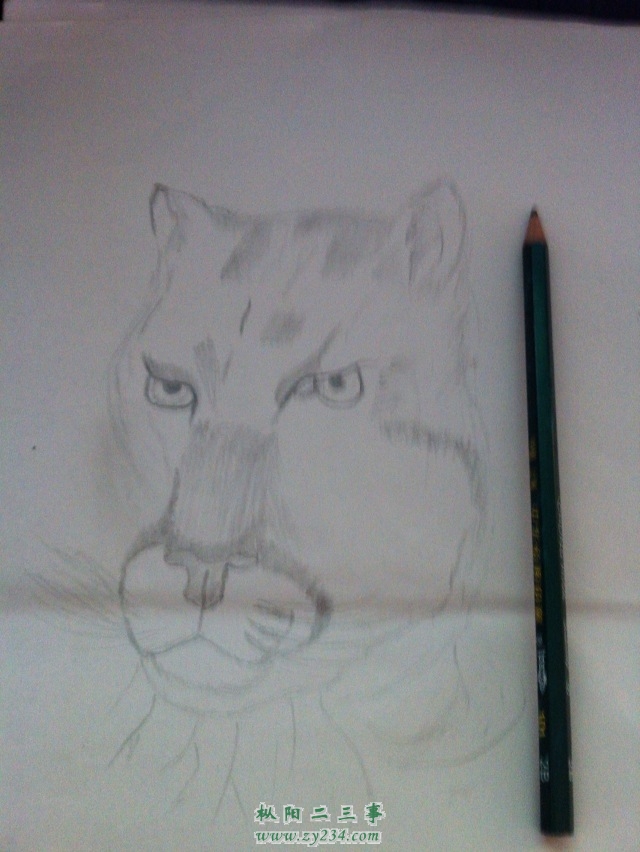 请输入描述