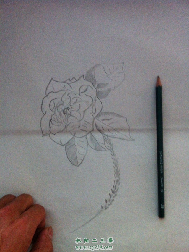 请输入描述