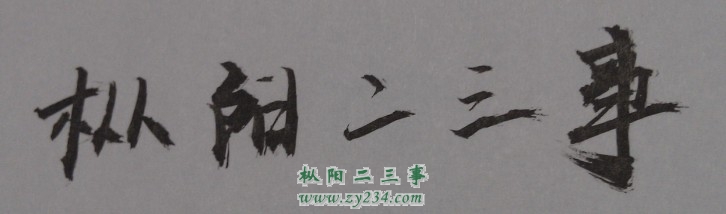 枞阳2013年.jpg