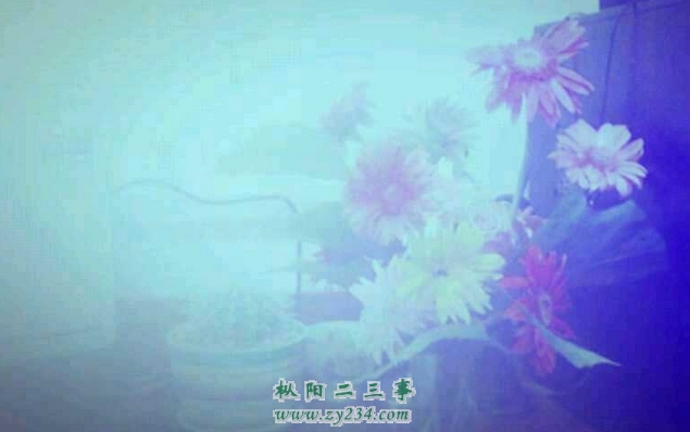 搜狗截图13年05月09日1238_5.jpg