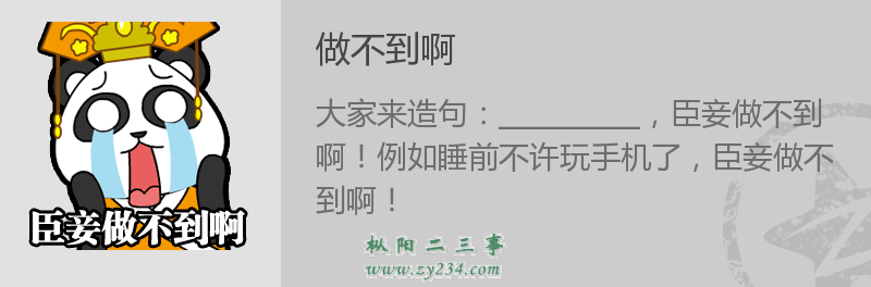10276_f_b.png