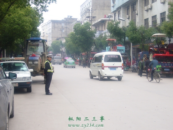 P1100733.jpg
