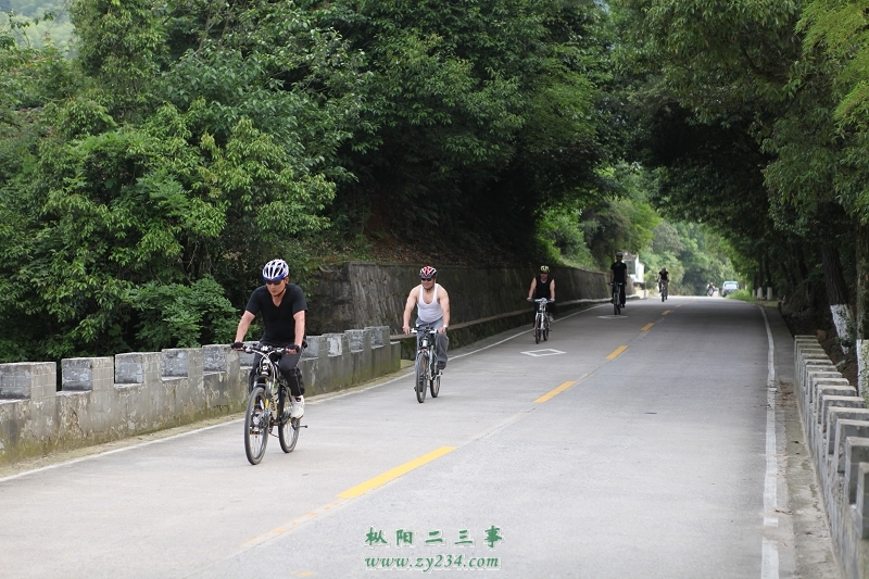 你追我赶