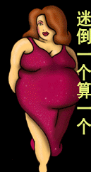 独照.gif