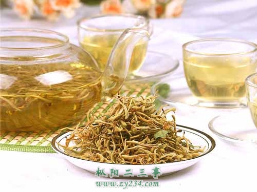 常饮金银花，健康有保障