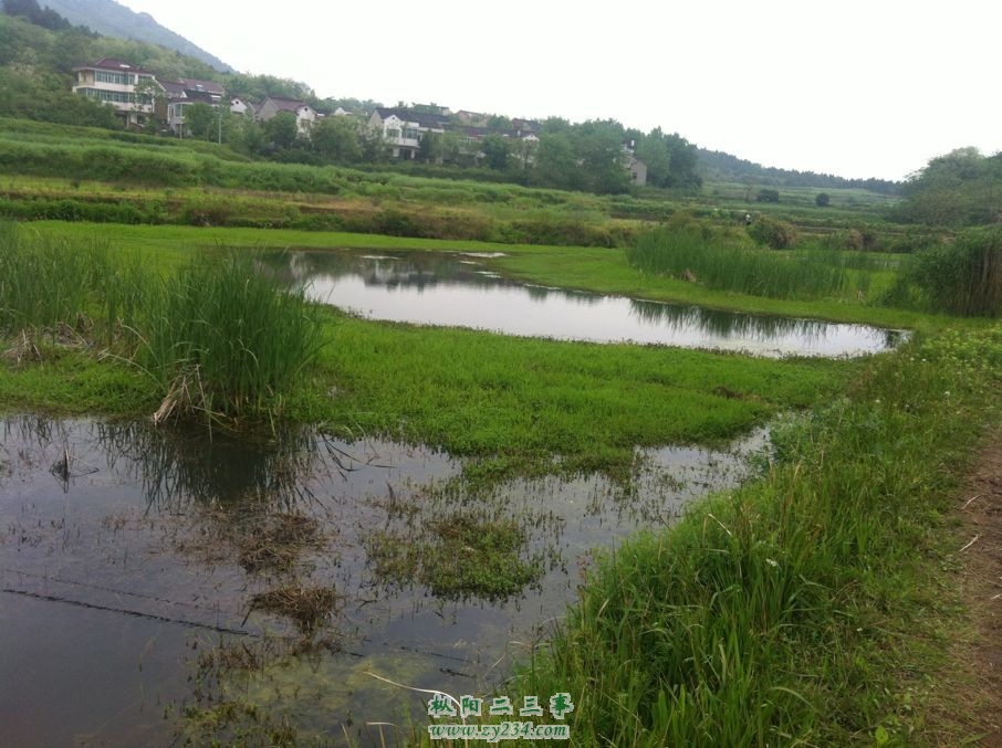 QQ图片20130606210154.jpg