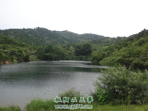 DSC00134_副本.JPG