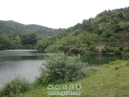 DSC00135_副本.JPG