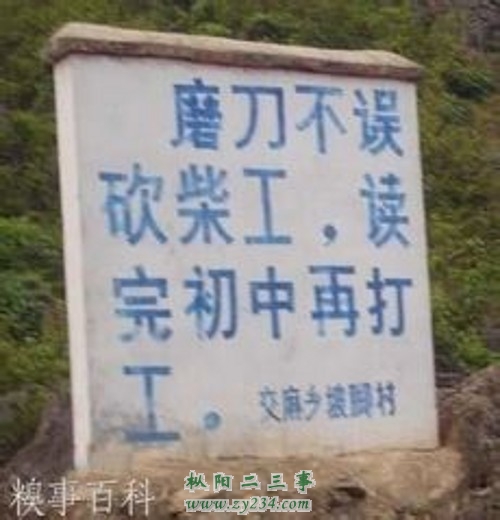 07_conew1.jpg