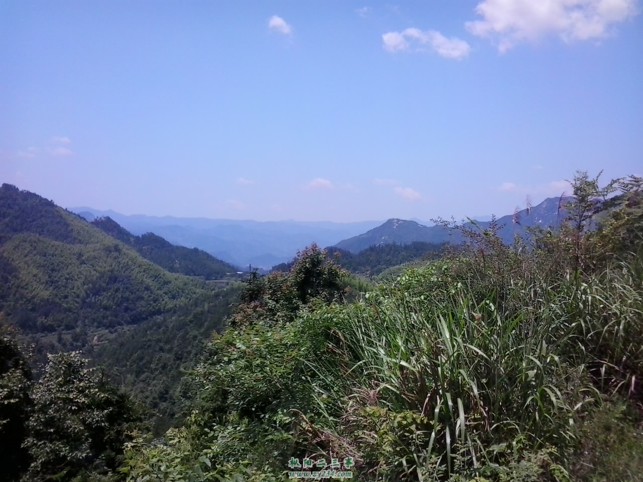 2013-06-12 11.39.46.jpg