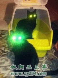t01fde578f7865a9e7a.jpg