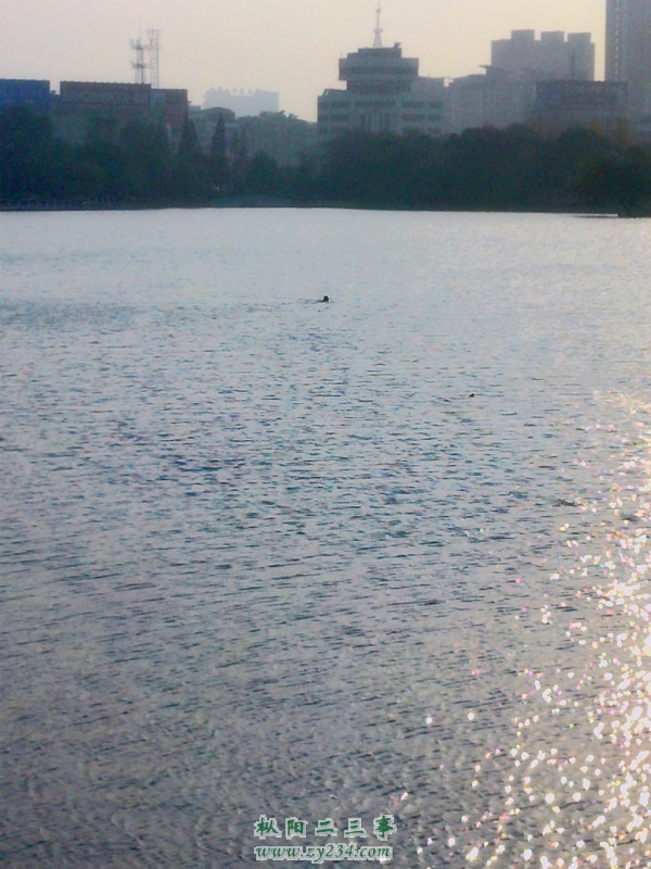 YP20121129153525_副本.jpg