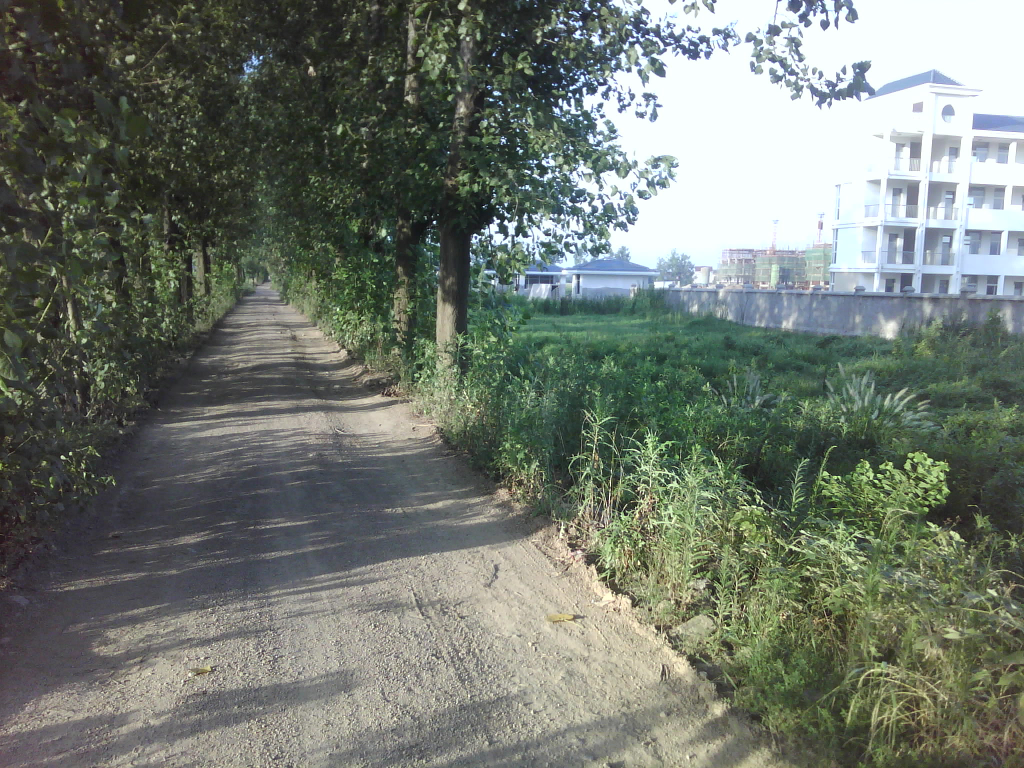 大门前道路