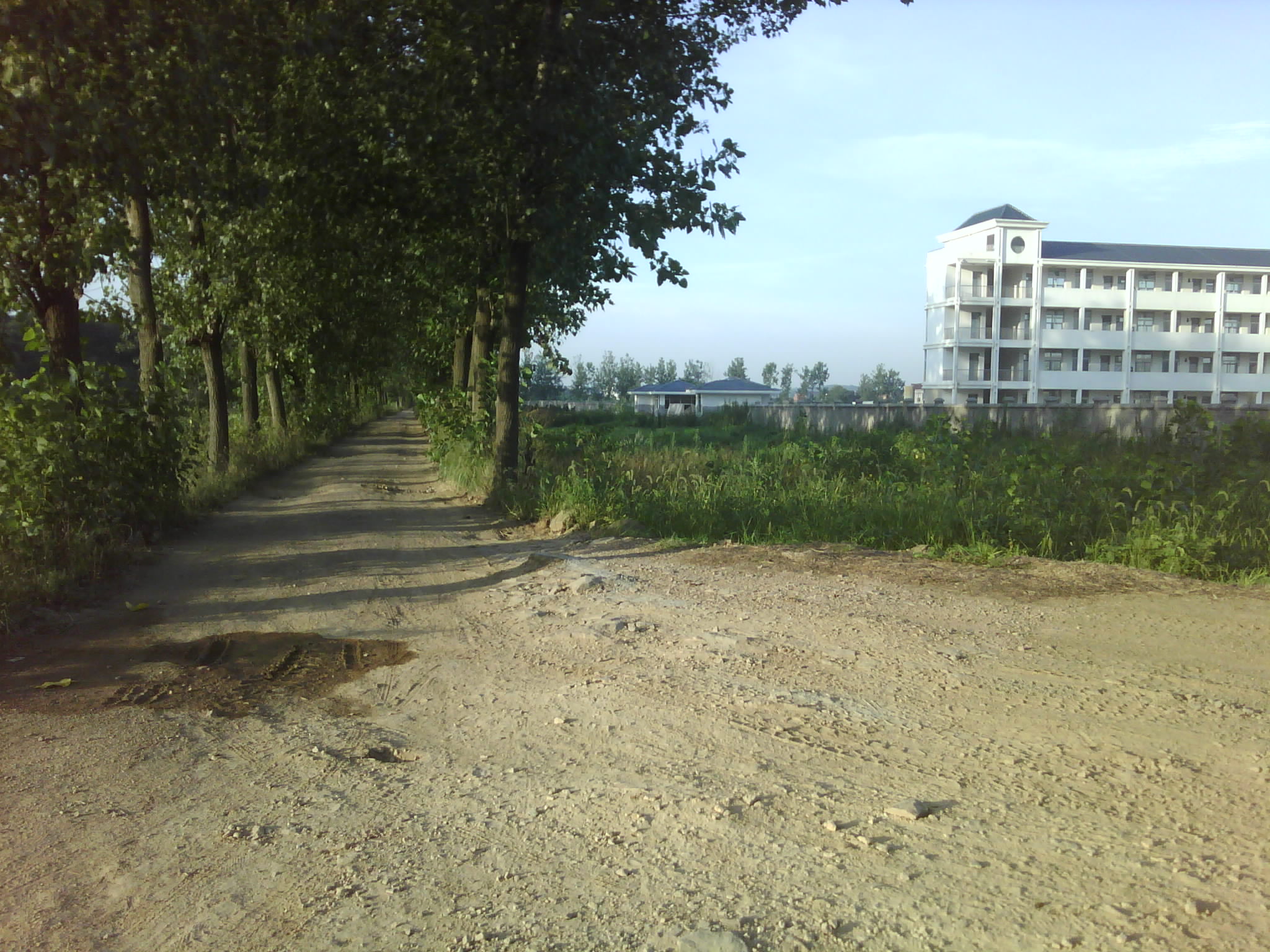 通学校大门道路