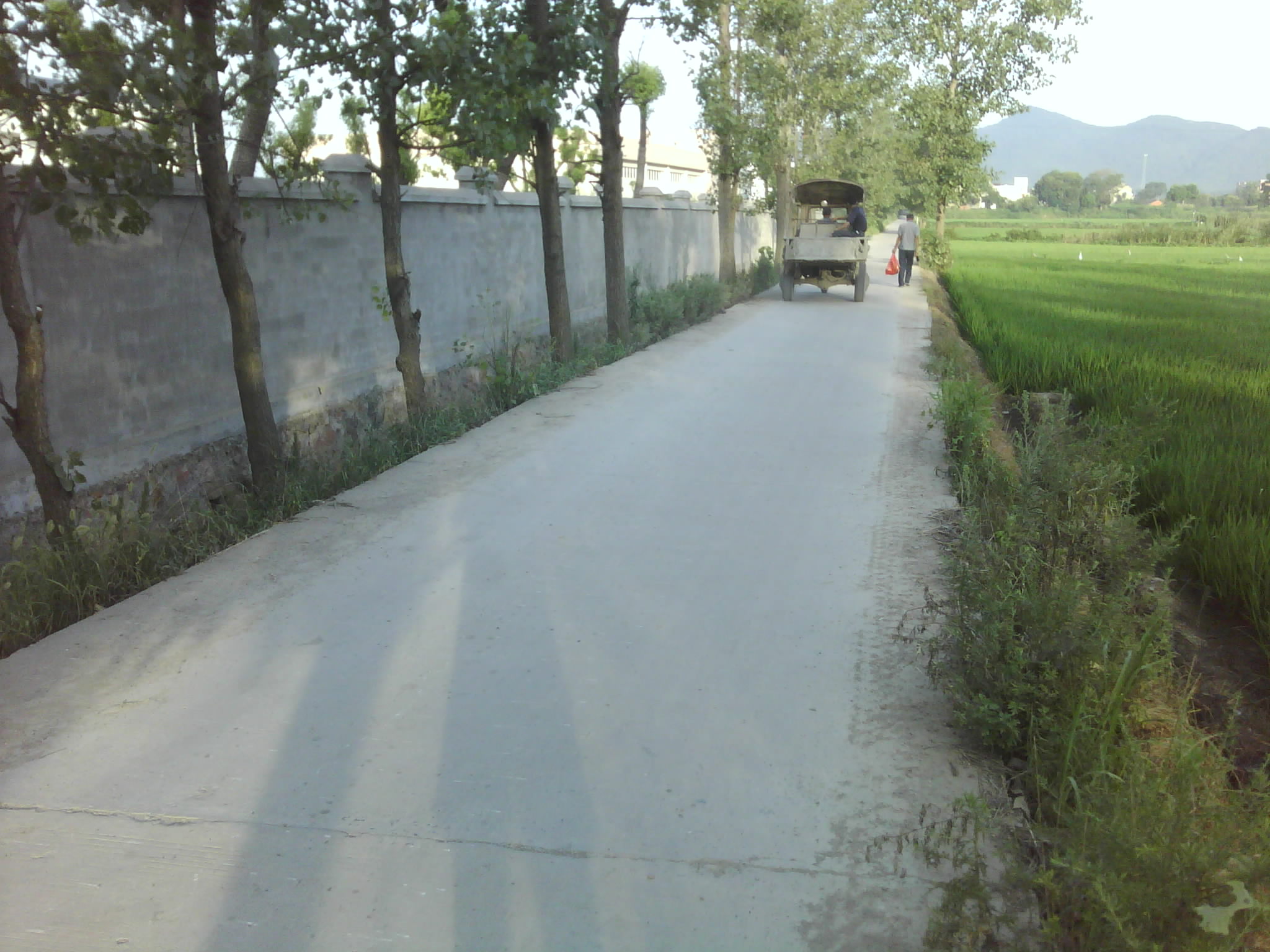 通学校北门道路