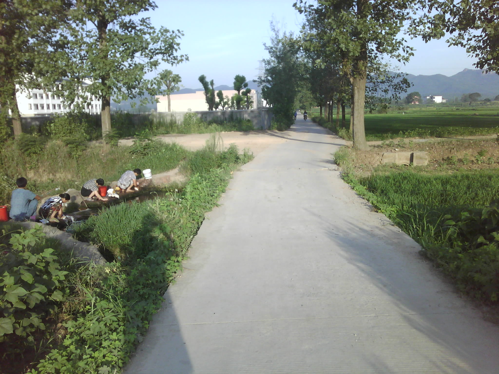 进入学校道路