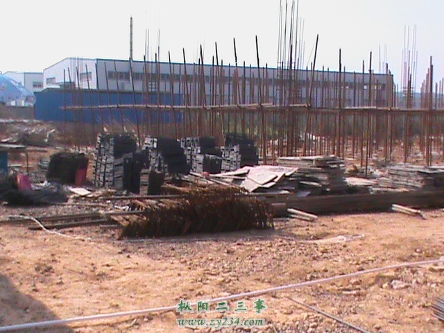 DSC00047.JPG